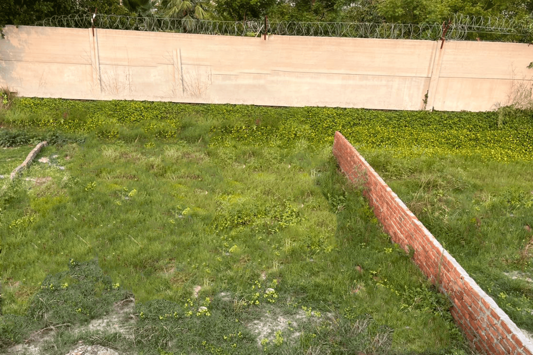 Plot 2
