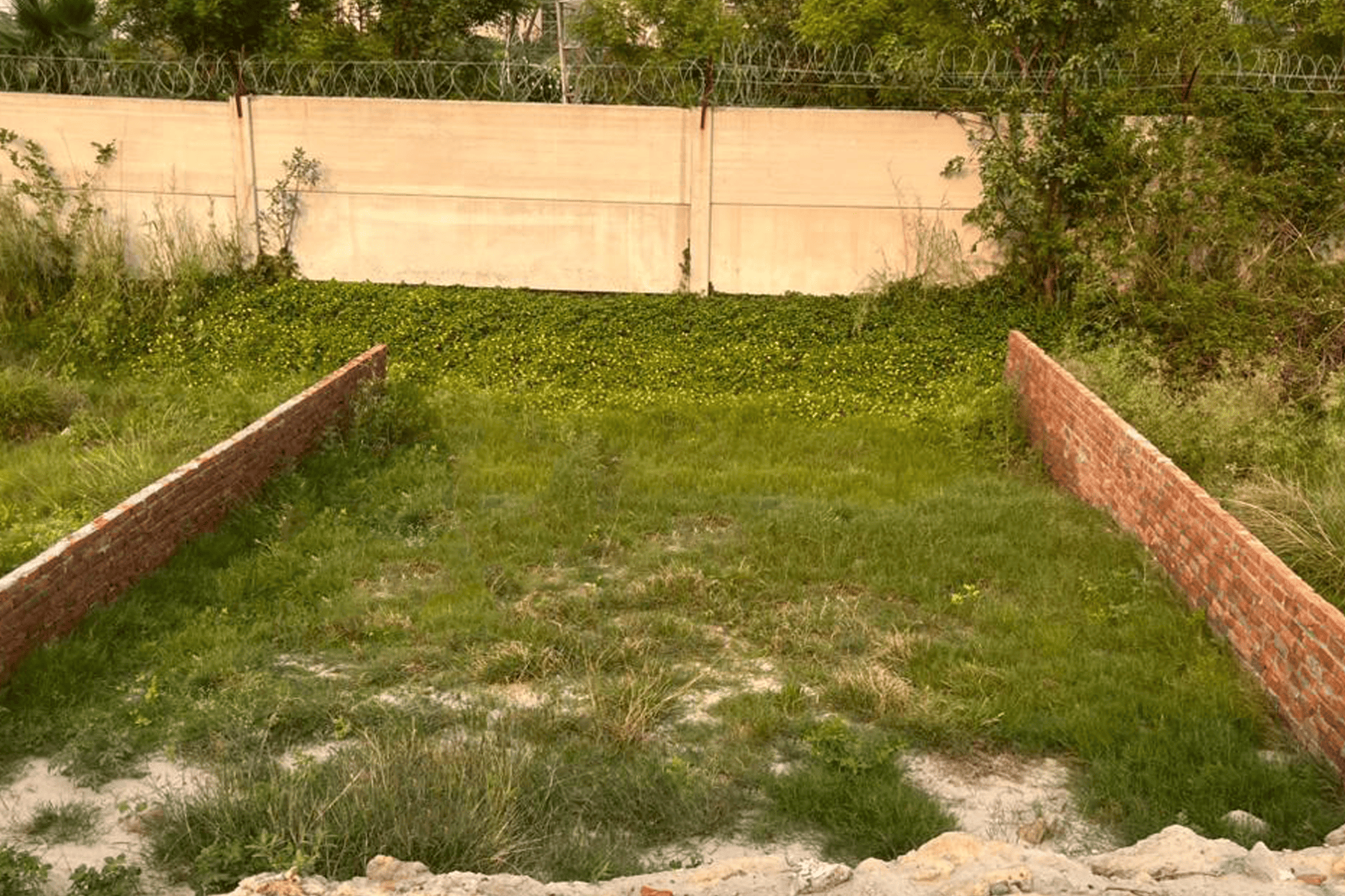 Plot 3