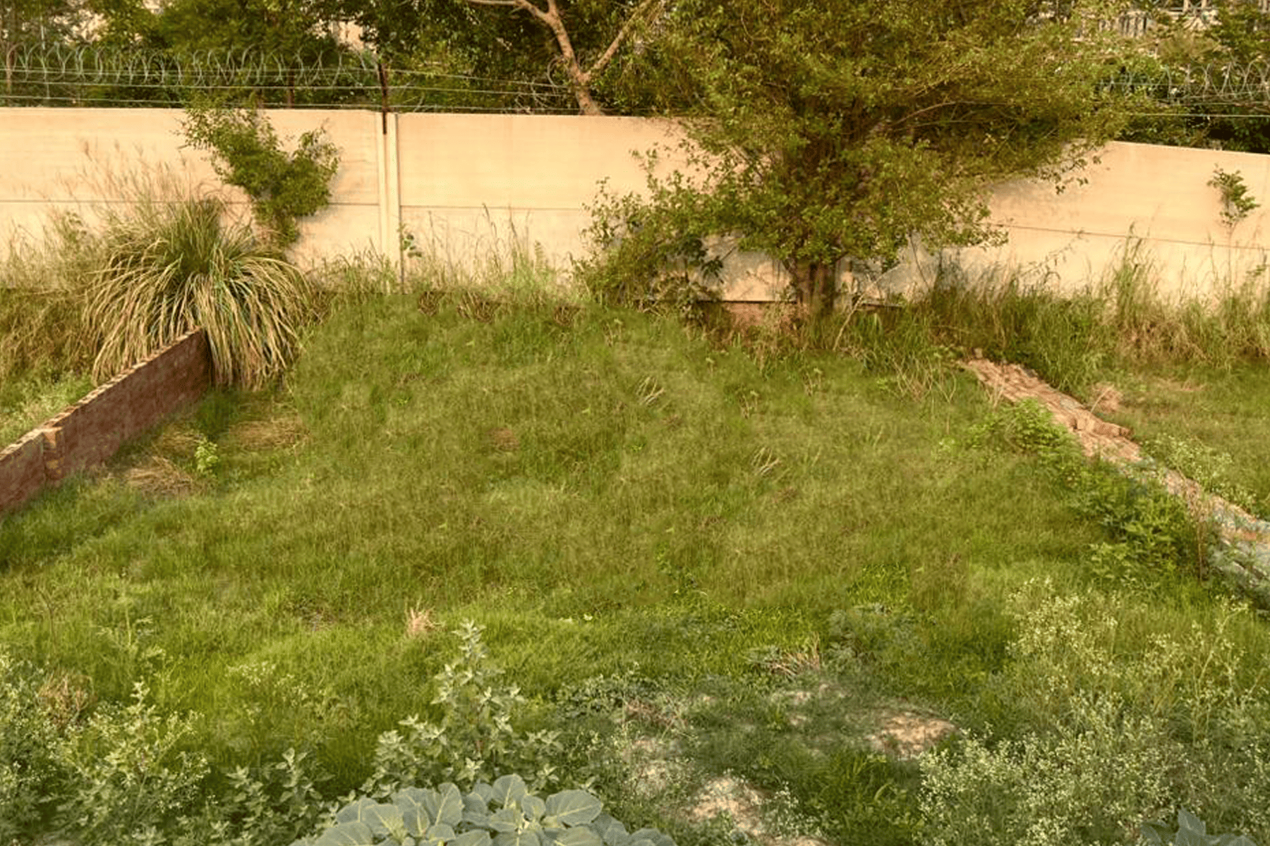 Plot 4