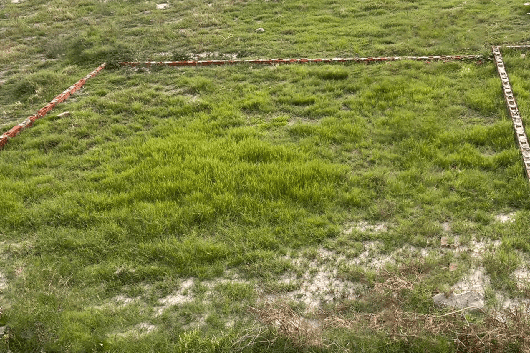Plot 2